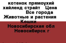 котенок прямоухий  хайленд страйт › Цена ­ 10 000 - Все города Животные и растения » Кошки   . Новосибирская обл.,Новосибирск г.